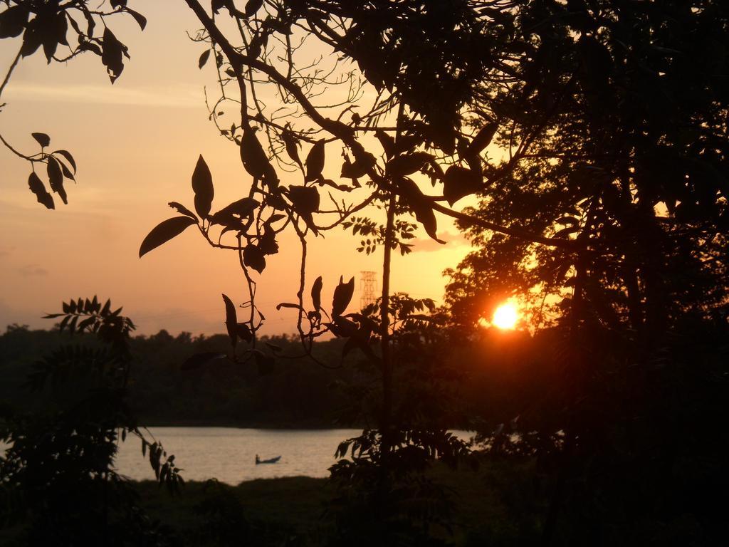 Blue Lake Ridge Maha Oya Extérieur photo