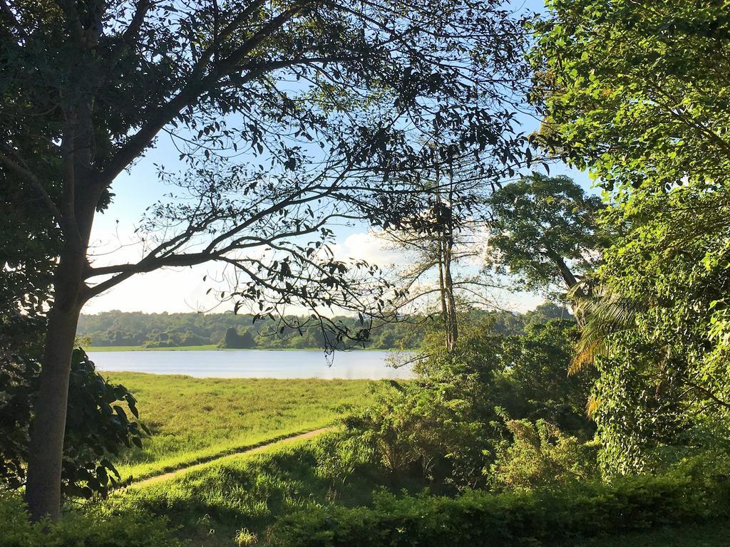 Blue Lake Ridge Maha Oya Extérieur photo