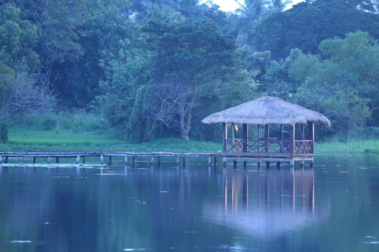 Blue Lake Ridge Maha Oya Extérieur photo